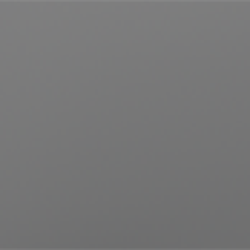 Scale Silver Metallic