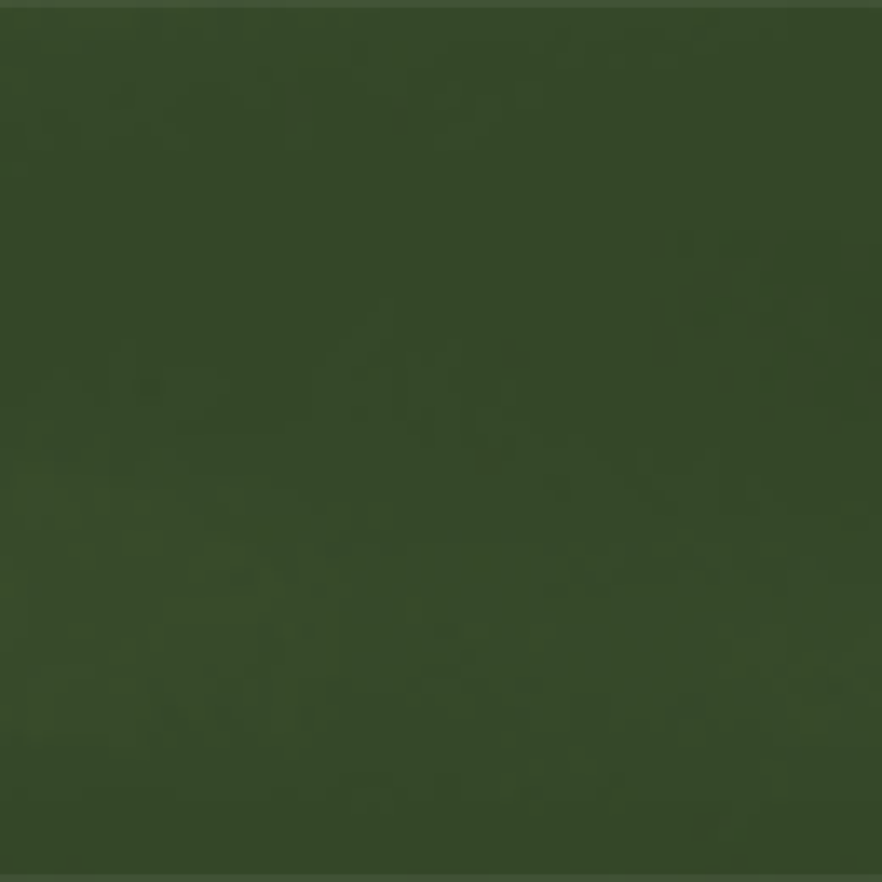 San Remo Green Metallic