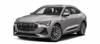 Audi e-tron Sportback 50 71 kWh (313 HP) Quattro Florett-Silver-Metallic