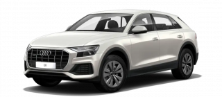 Audi Q8 60 TFSI e V6 (462 Hp) quattro tiptronic Vicuna Beige metallic